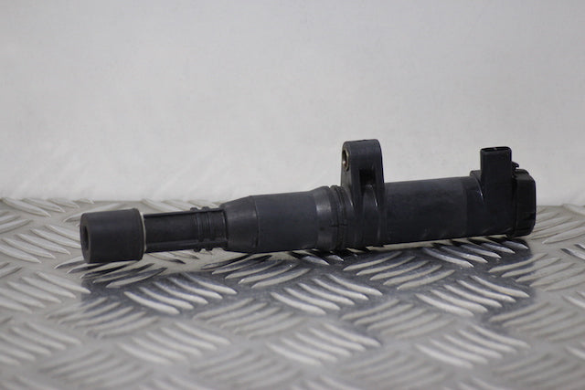 Renault Clio Ignition Coil (2001)
