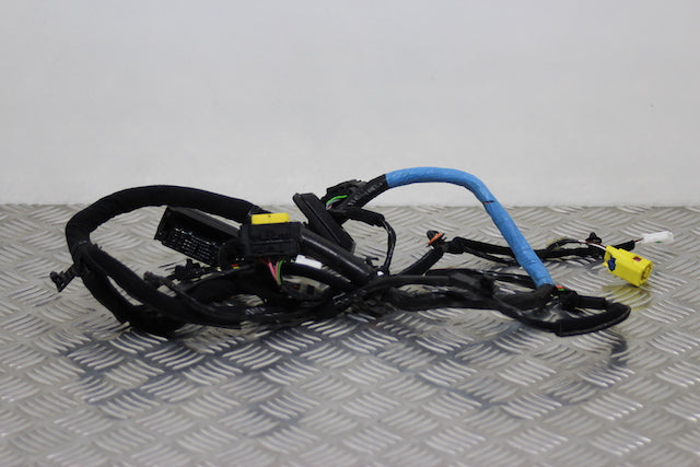 Hyundai i20 Door Wiring Loom Front Drivers Side 