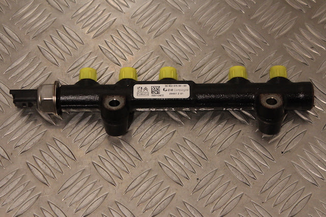 Citroen Picasso C4 Fuel Injector Rail Diesel 