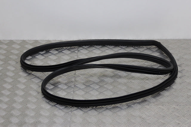 Hyundai i20 Door Seal Front Drivers Side (2021) - Part photo
