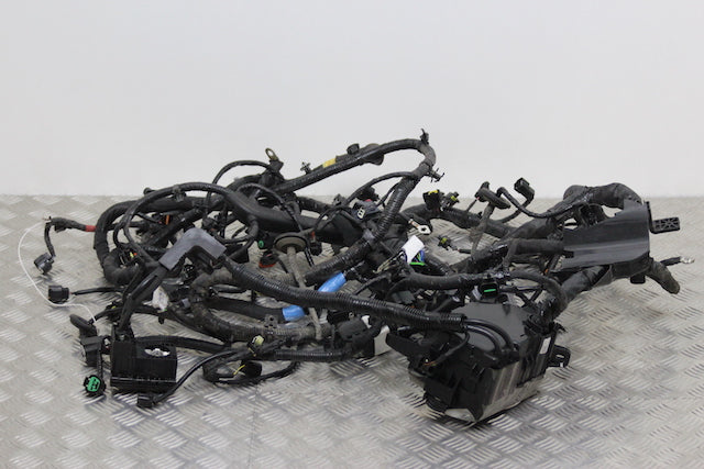 Hyundai i20 Engine Wiring Loom   Individual Block Connections Available (2021) - Part photo