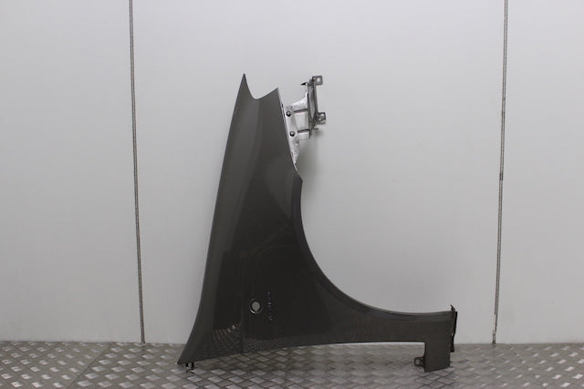 Fiat Punto Wing Drivers Side 