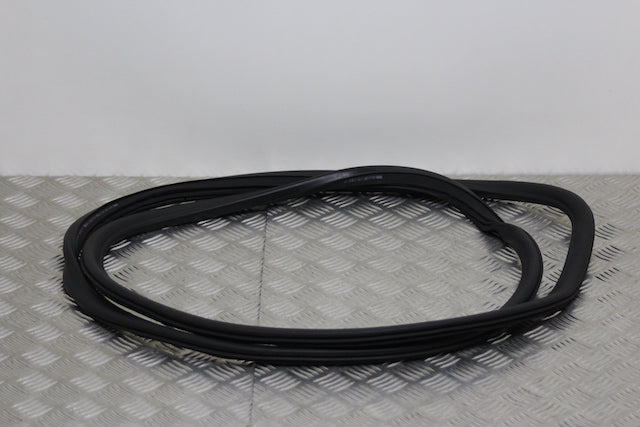 Opel Astra Door Seal Front Drivers Side 
