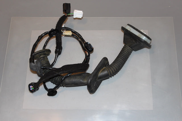 Dacia Sandero Door Wiring Loom Front Drivers Side 