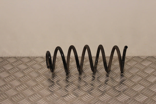 Dacia Sandero Coil Spring Rear Drivers Side 