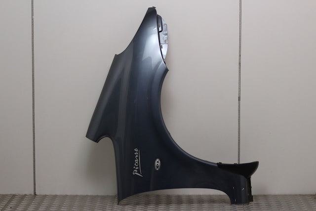 Citroen Picasso Wing Drivers Side 
