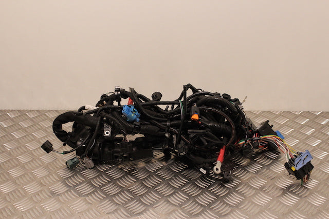 Renault Captur Engine Wiring Loom 
