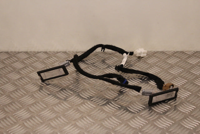 Renault Captur Number Plate Light Passengers Side 