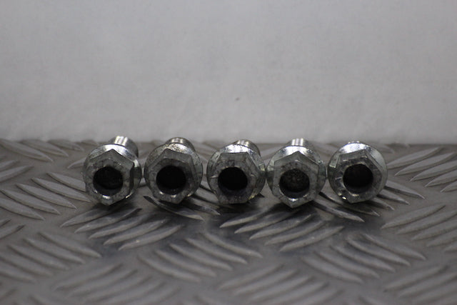 Volkswagen Polo Wheel Nuts (2011)