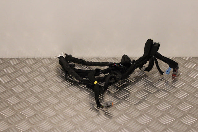 Volvo V40 Door Wiring Loom Rear Passengers Side (2014)
