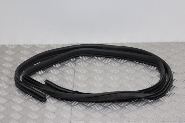 Nissan Qashqai Door Seal Rear Drivers Side 
