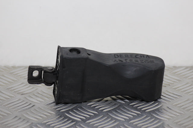 Seat Ibiza Door Check Strap Front Passengers Side 