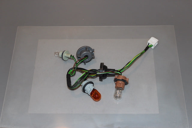 Nissan Juke Tail Lamp Bulb Holder Passengers Side 